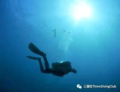海盐新增一位省级“名中医”，是她→